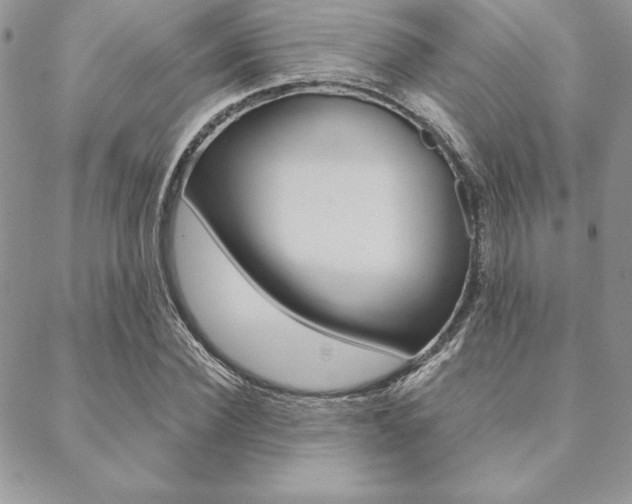 X0000089440924200706151007