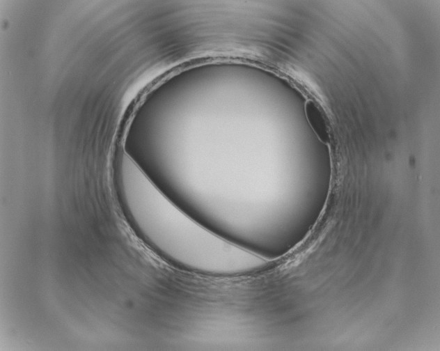 X0000089440928200706151007