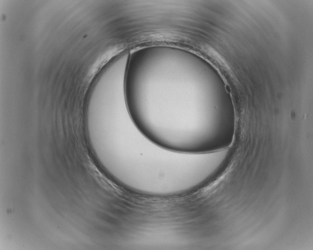X0000089440930200706151007