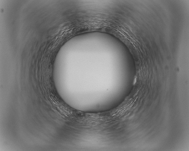 X0000089440961200706151007