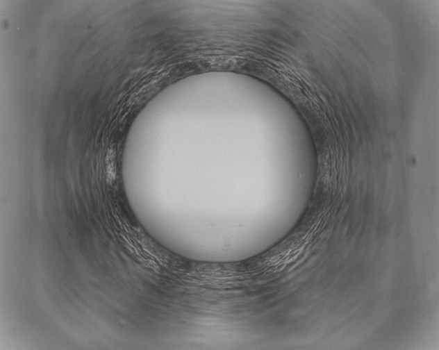X0000089440962200706151007