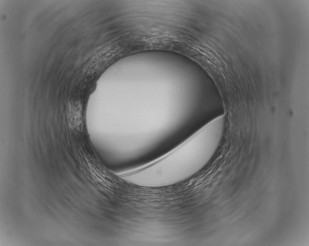 X0000089440963200706151007