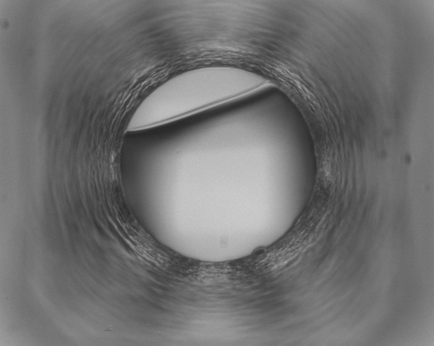 X0000089440964200706151007