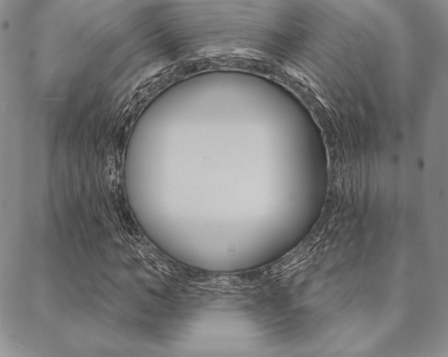 X0000089440966200706151007