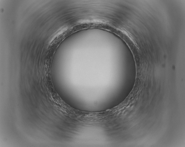 X0000089440967200706151007