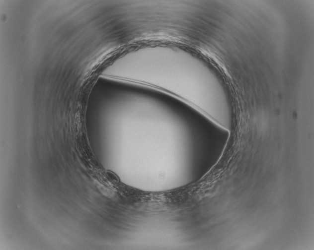 X0000089440968200706151007