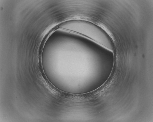 X0000089440972200706151007