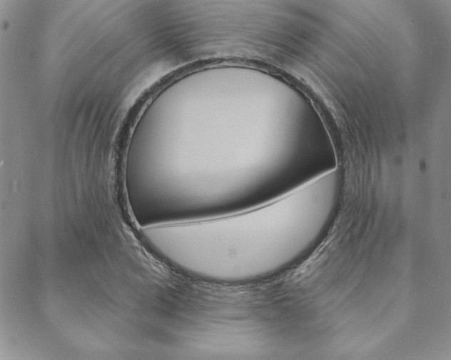 X0000089440975200706151007