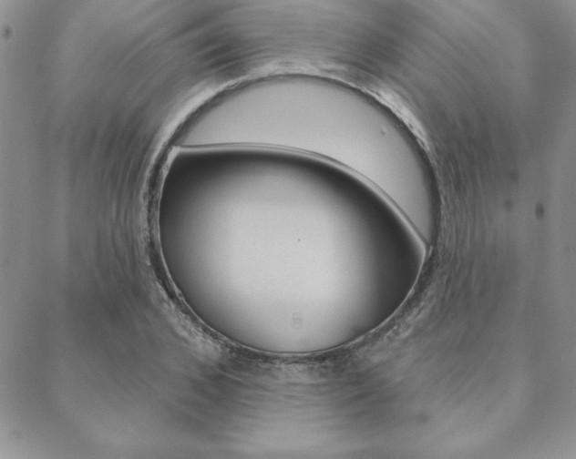 X0000089440976200706151007
