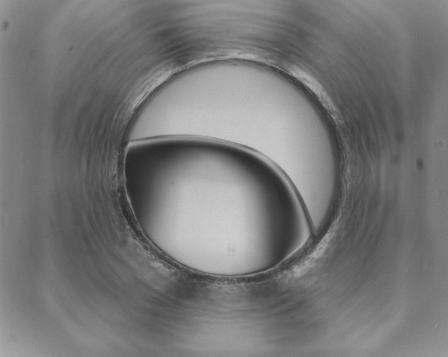 X0000089440977200706151007