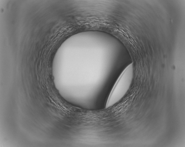 X0000089441009200706151006
