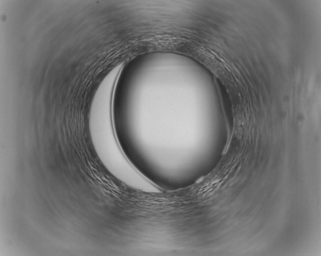 X0000089441010200706151006