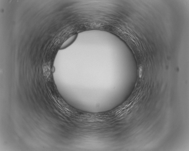X0000089441011200706151006