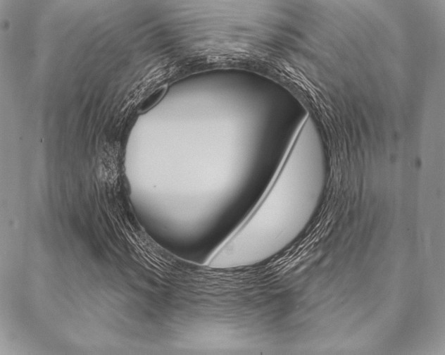 X0000089441012200706151006
