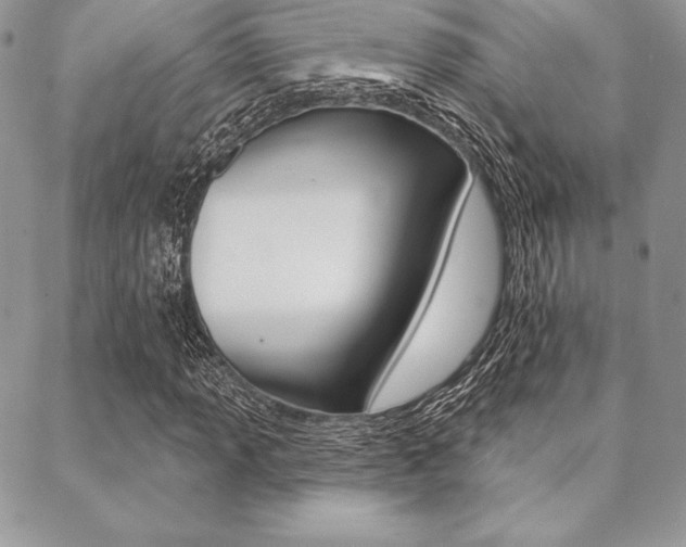 X0000089441013200706151006