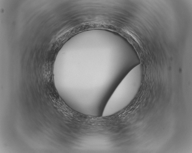 X0000089441015200706151006