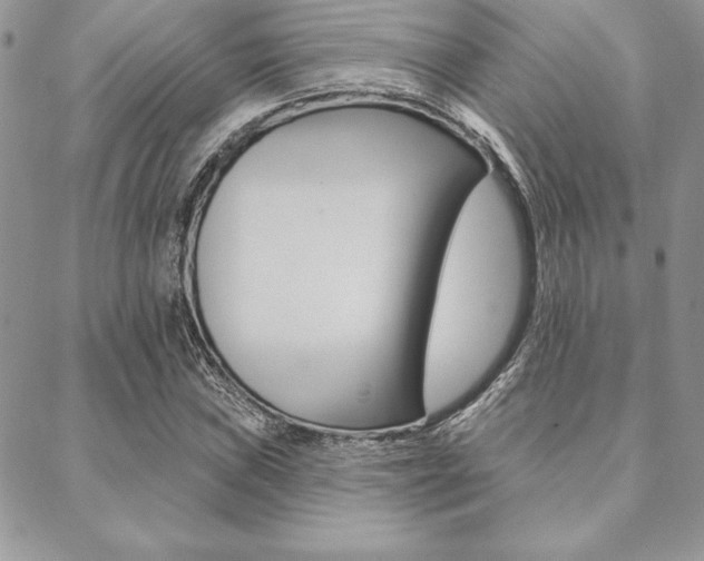 X0000089441019200706151006