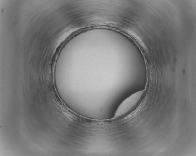 X0000089441023200706151006