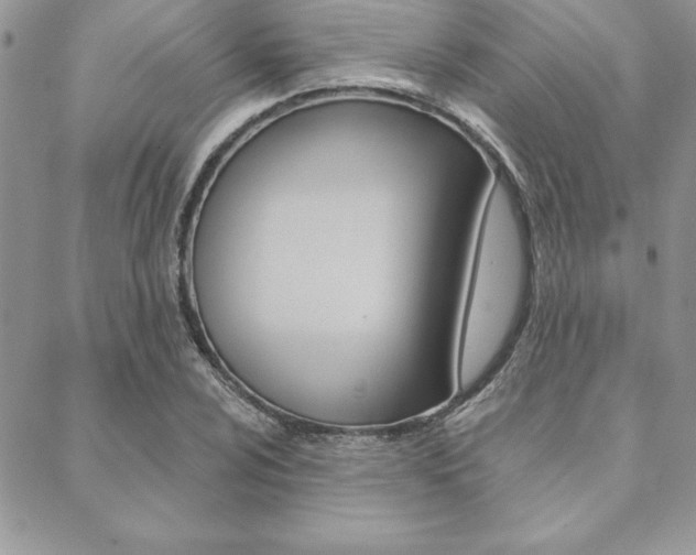 X0000089441024200706151006