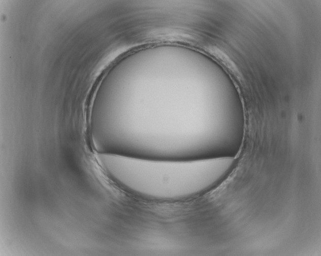 X0000089441031200706151006