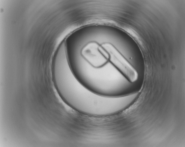 X0000089441046200706151006