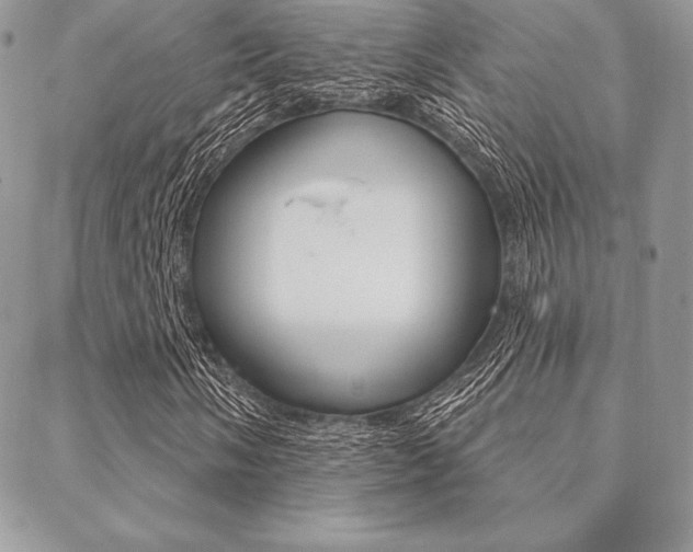 X0000089441058200706151006
