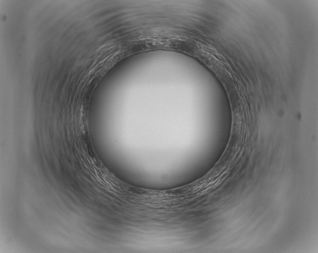 X0000089441060200706151006