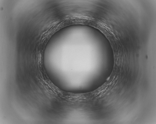 X0000089441061200706151005