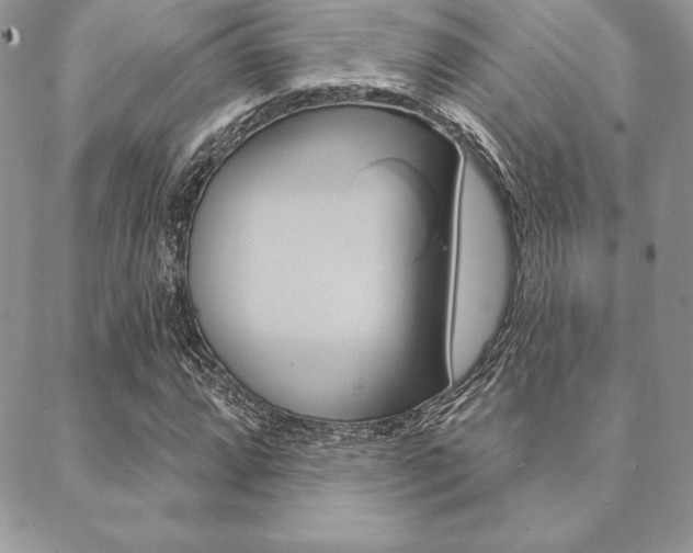 X0000089441064200706151005