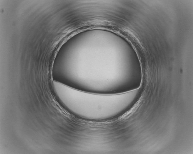 X0000089441065200706151005