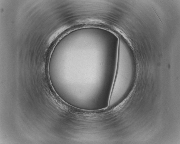 X0000089441066200706151005