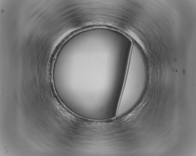 X0000089441068200706151005