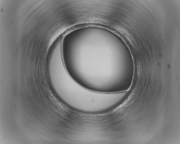 X0000089441069200706151005
