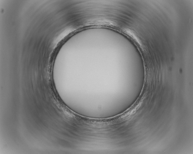 X0000089441071200706151005