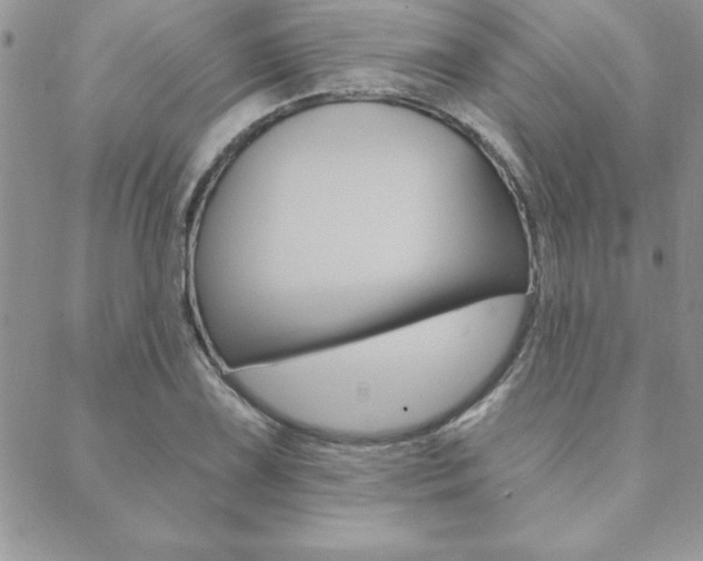 X0000089441075200706151005