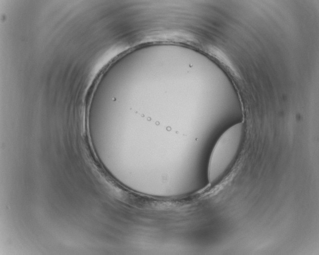 X0000089441079200706151005