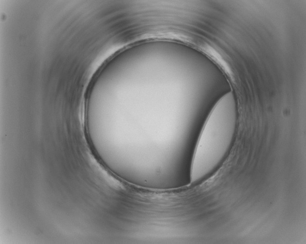 X0000089441084200706151005