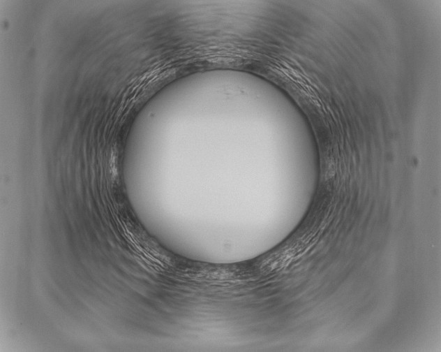X0000089441106200706151004