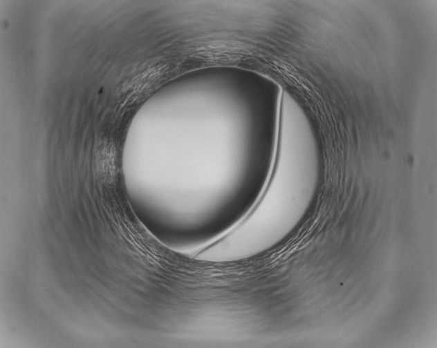 X0000089441108200706151004
