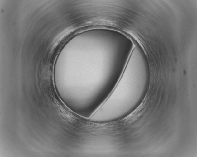 X0000089441115200706151004