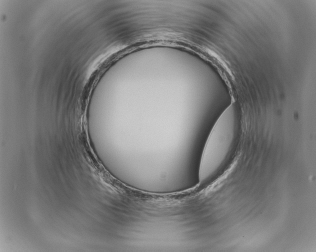 X0000089441117200706151004