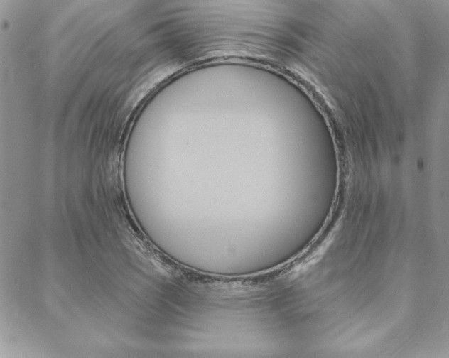 X0000089441121200706151004