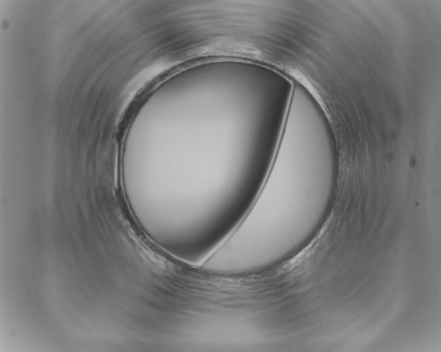 X0000089441123200706151004