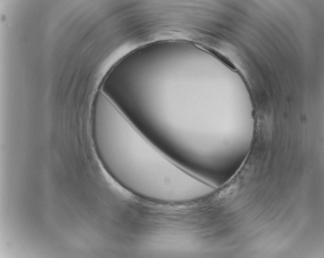X0000089441143200706151005