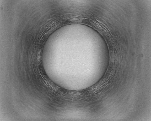 X0000089441154200706151004