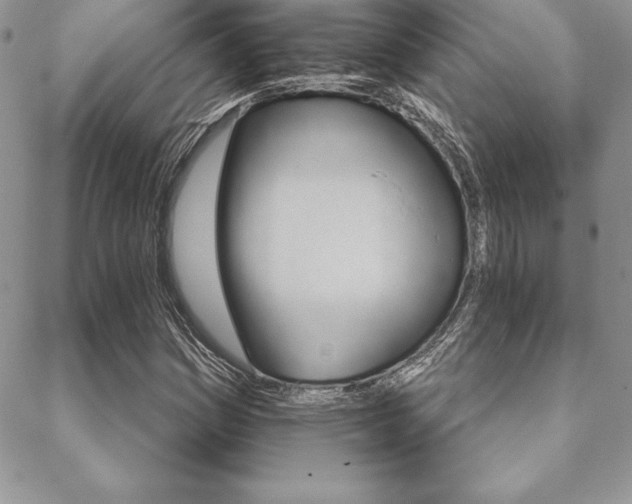 X0000089441161200706151004