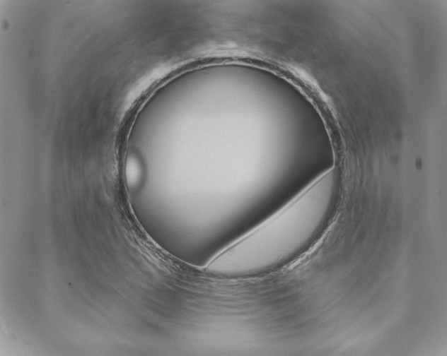 X0000089441167200706151004