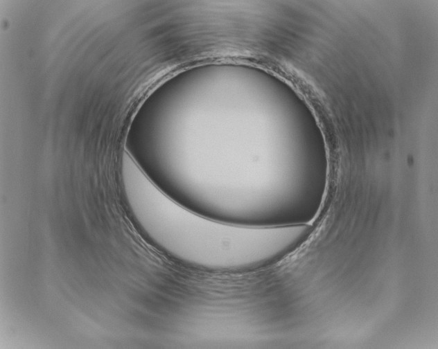 X0000089441169200706151004