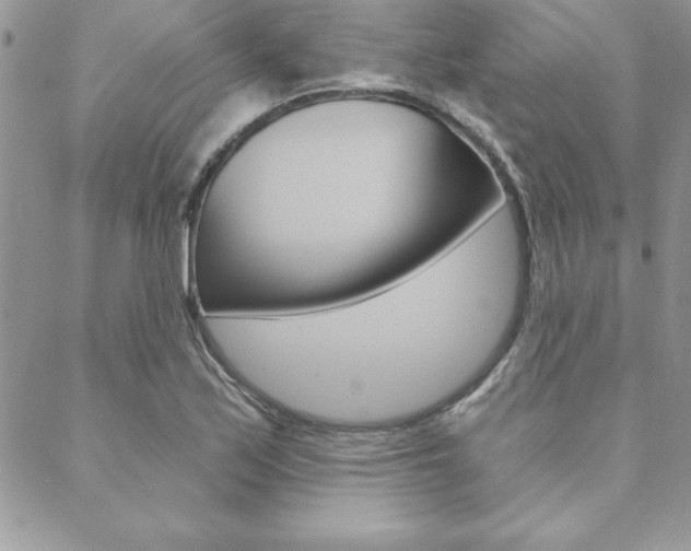X0000089441171200706151004