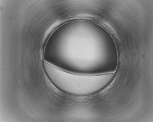 X0000089441180200706151004